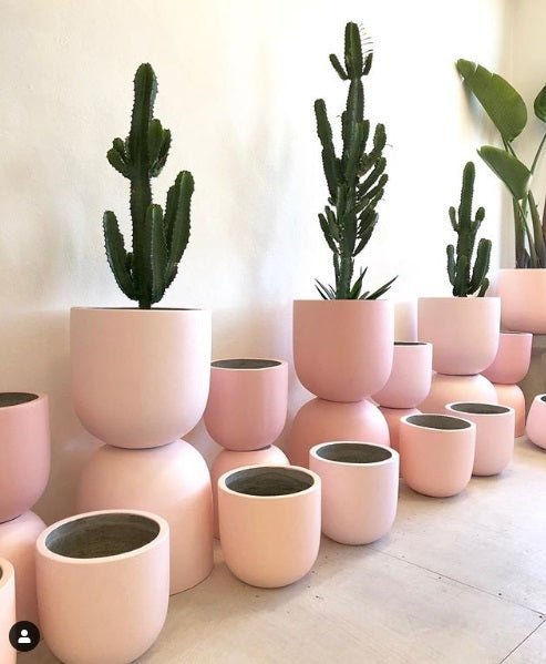 Pots