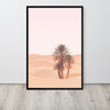 Desert Palm Sunset Framed Art Print